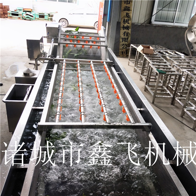 果蔬清洗風(fēng)干流水線
